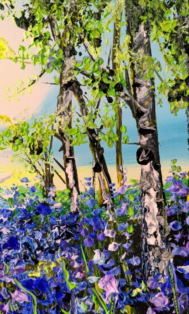 Bluebell woods 