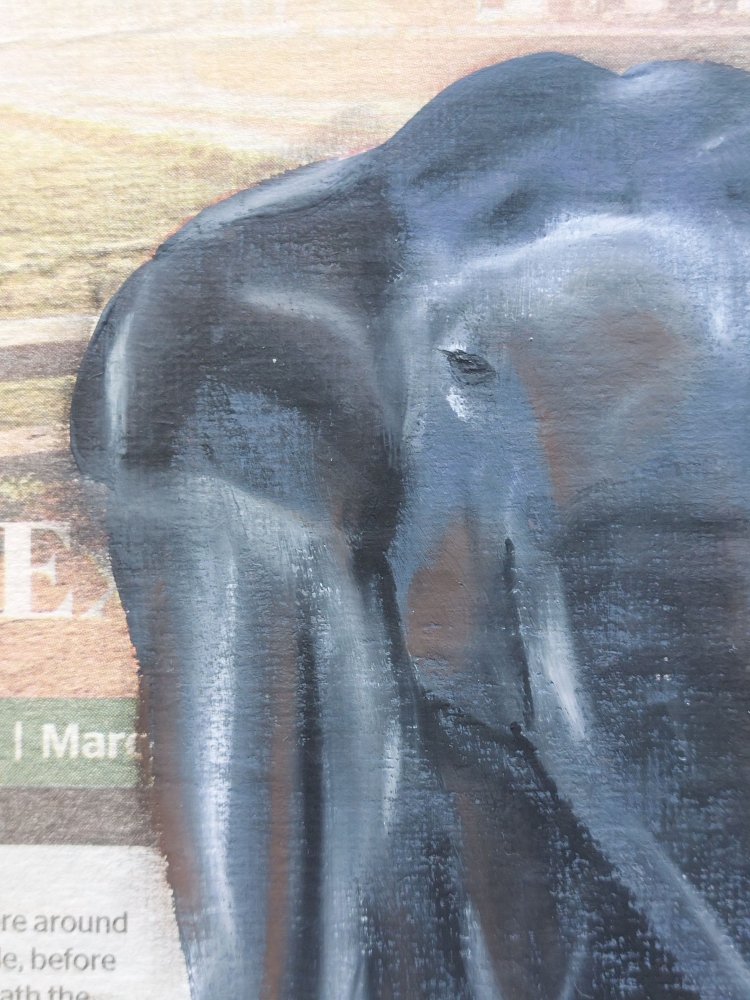 Elephant