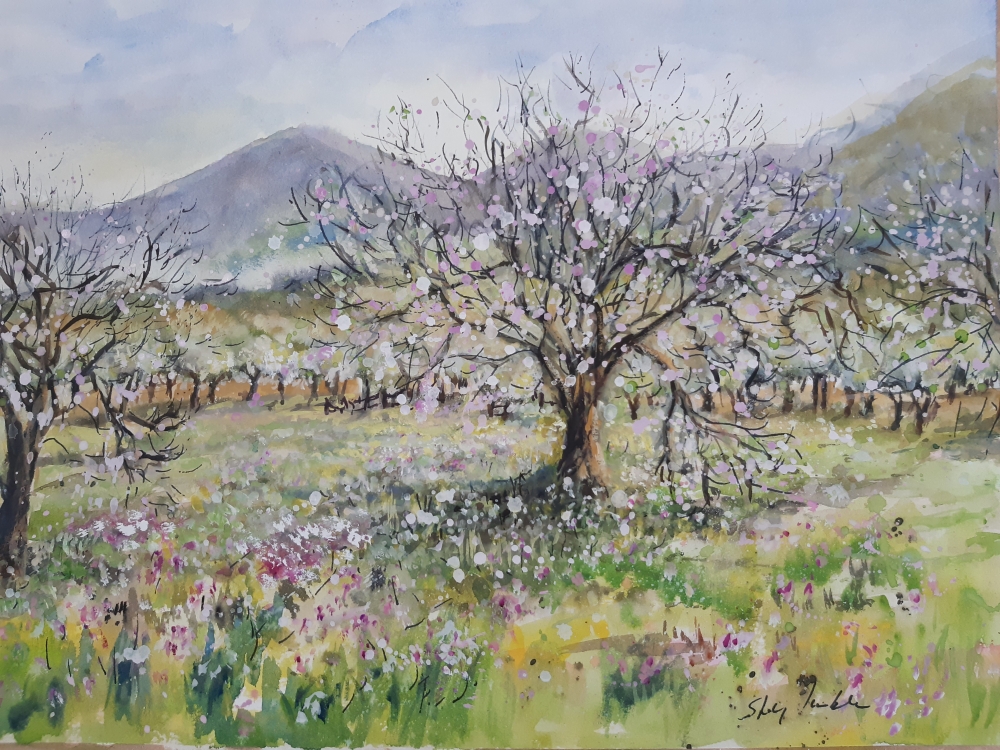 Majorca Spring Blossom