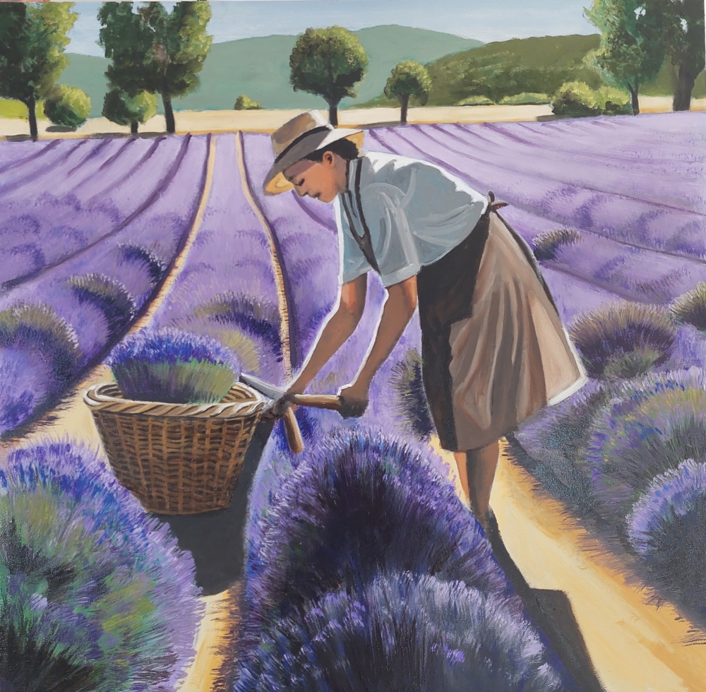 Violet foncé en Provence 