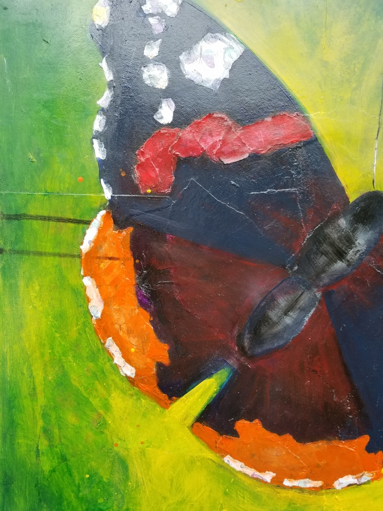Red Admiral Butterfly