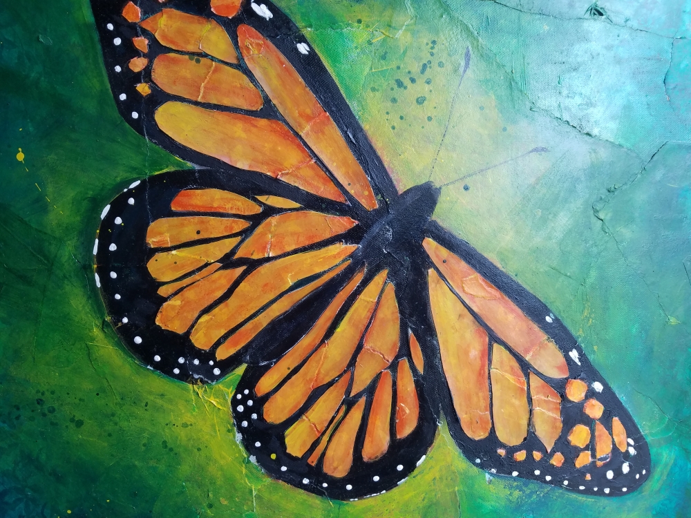 Monarch Butterfly