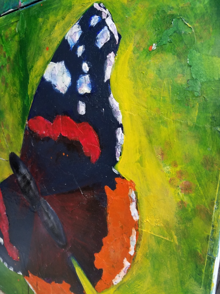 Red Admiral Butterfly