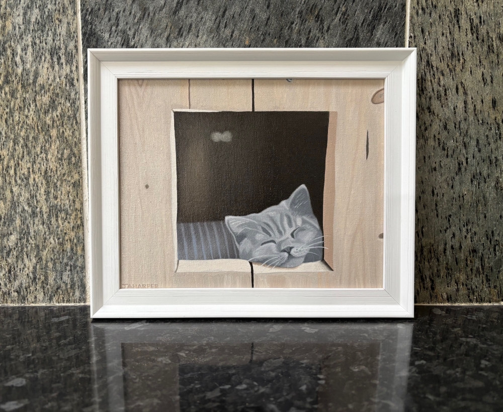 Cat In A Wooden Box