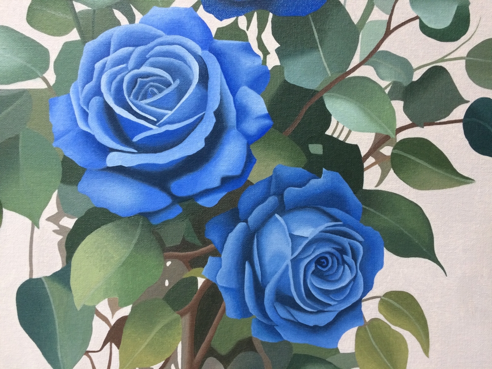 Blue Roses
