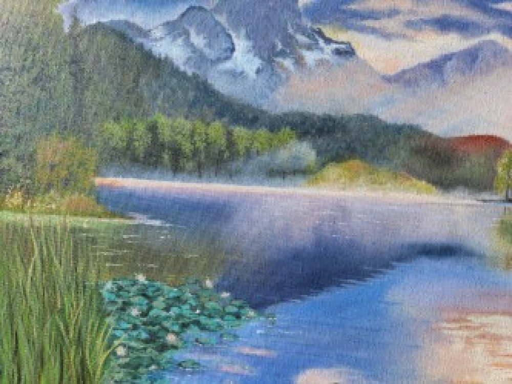 Waterlillies