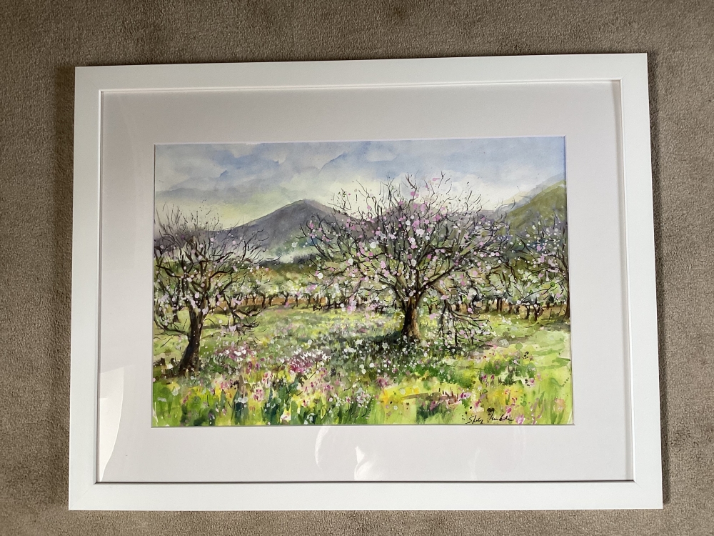 Majorca Spring Blossom