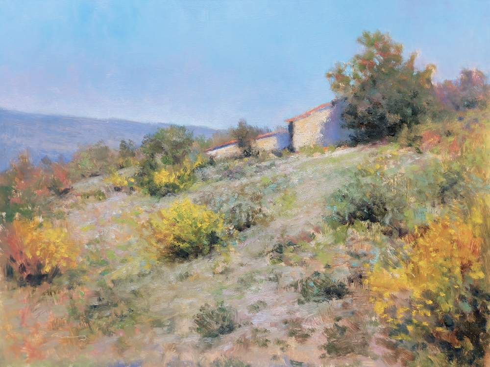 Garrigues in Provence