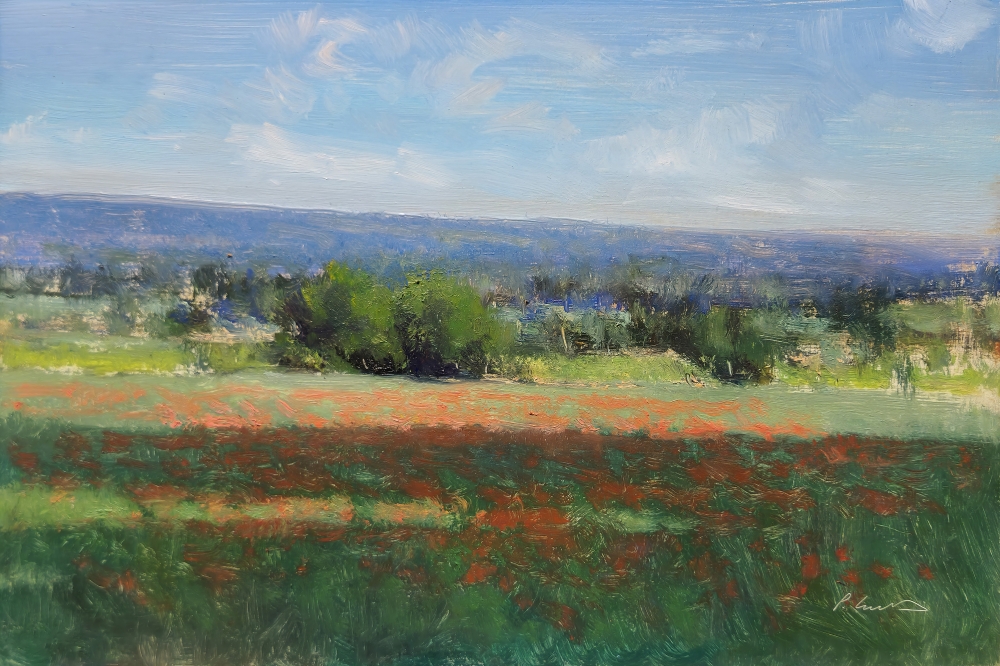 Poppy Field in Provence