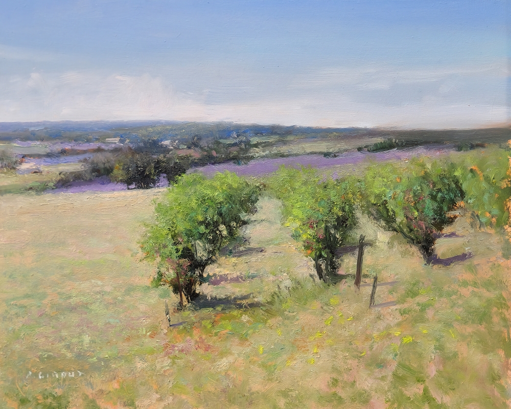 Vineyards and lavender fields
