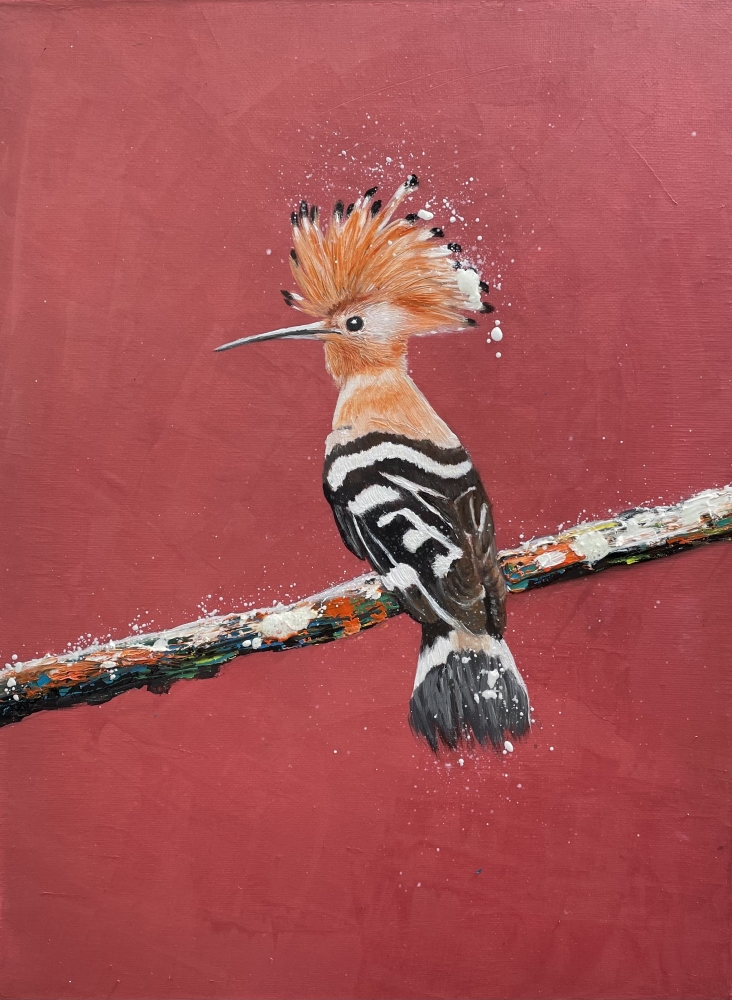 Hoopoe