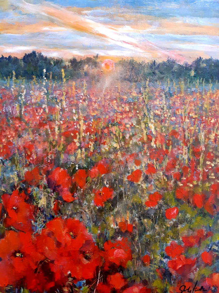 Poppies in Hitchin