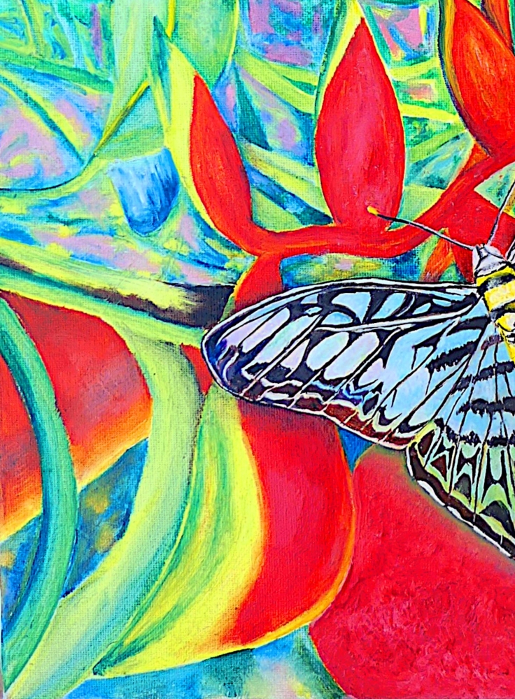 Tropical Butterfly & Lobster Claw