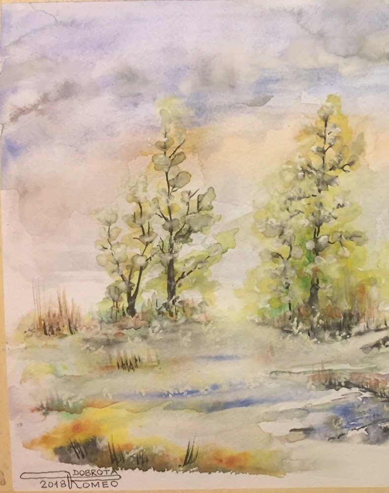 Canadian Landscape 16, 12x17.5 inch, Water colors on cold press paper SKU 4037