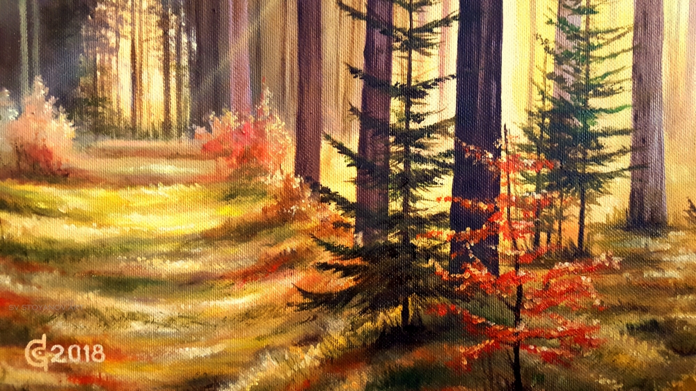 Lights and Shadows
