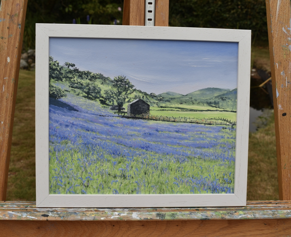 Bluebells, Cwm Pennant