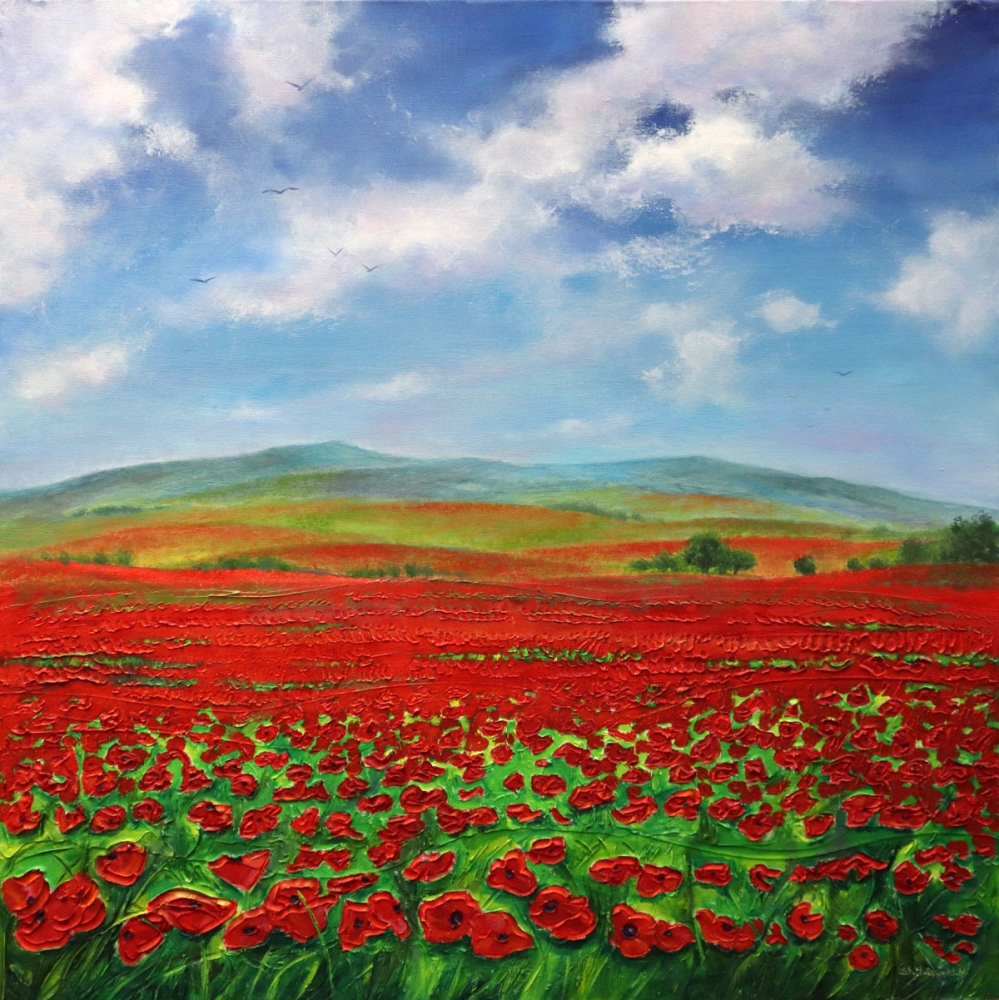 Fields In Bloom