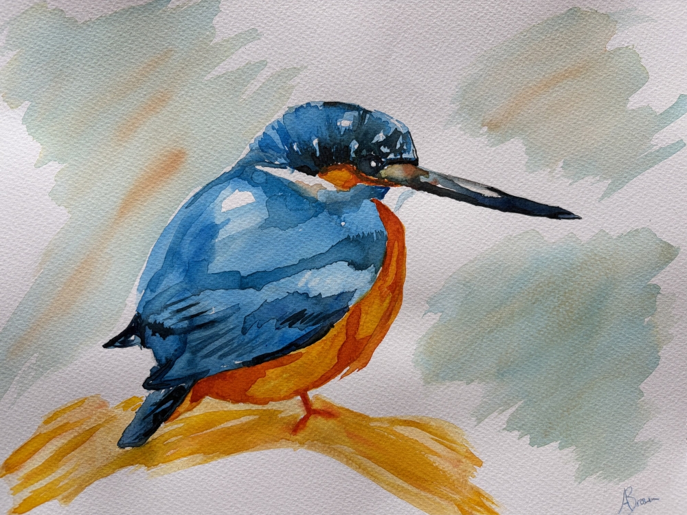 A Kingfisher 