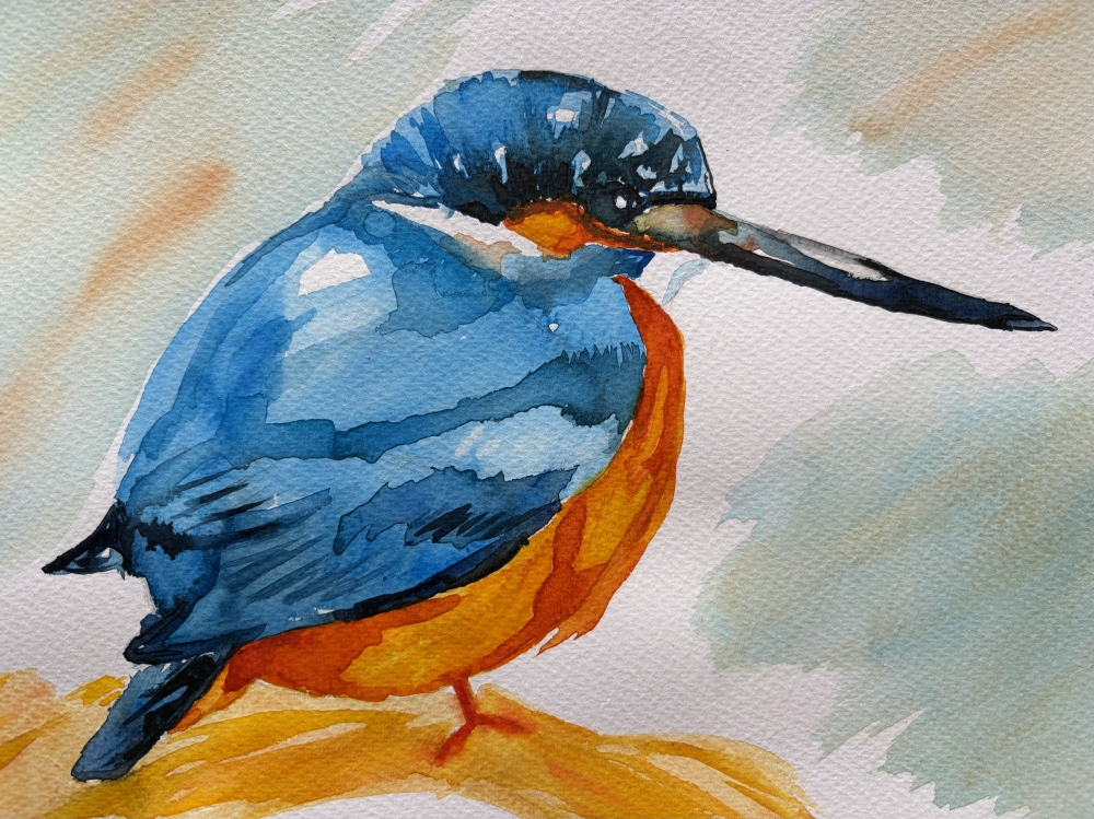 A Kingfisher 