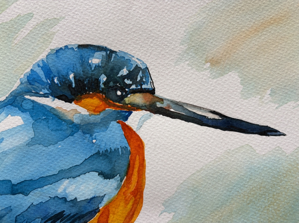 A Kingfisher 