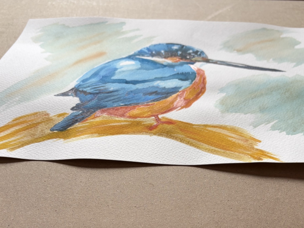 A Kingfisher 