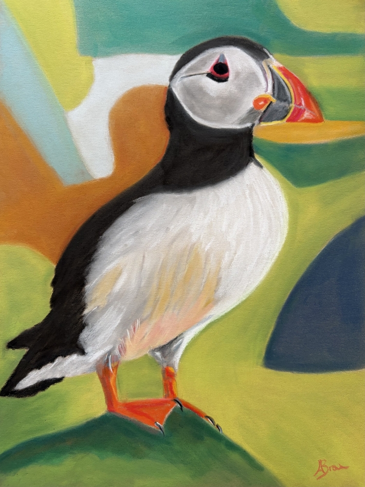 A Vibrant Puffin Drawing