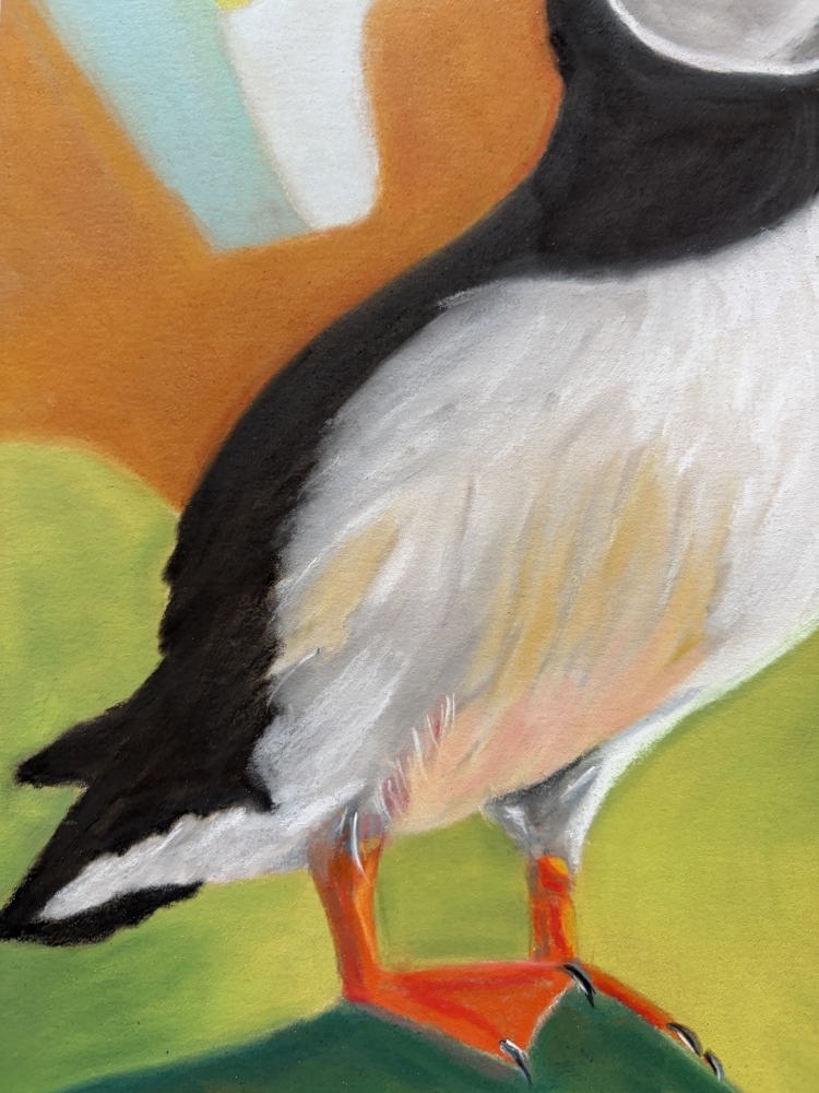 A Vibrant Puffin Drawing