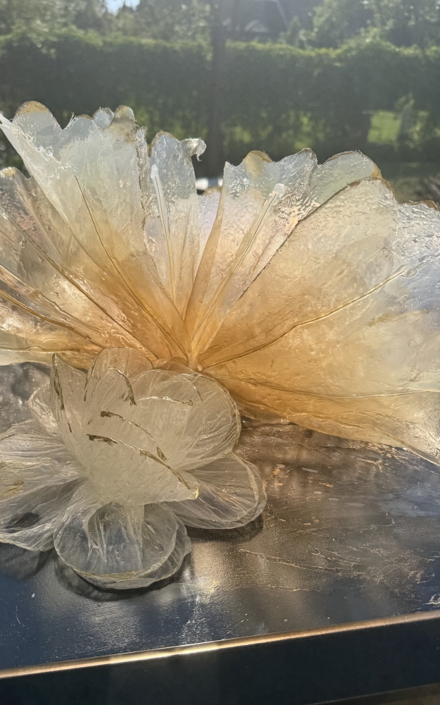 The Alchemy of Light