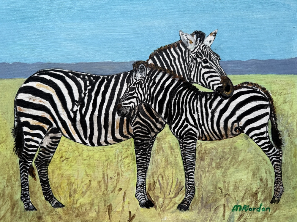 zebra mare and foal