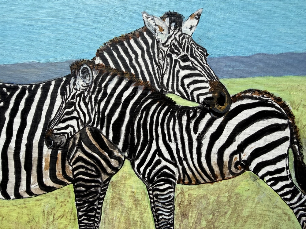 zebra mare and foal