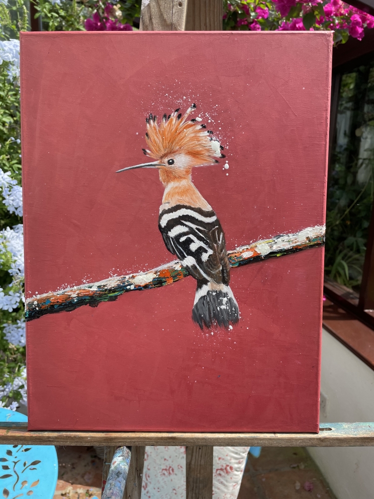 Hoopoe