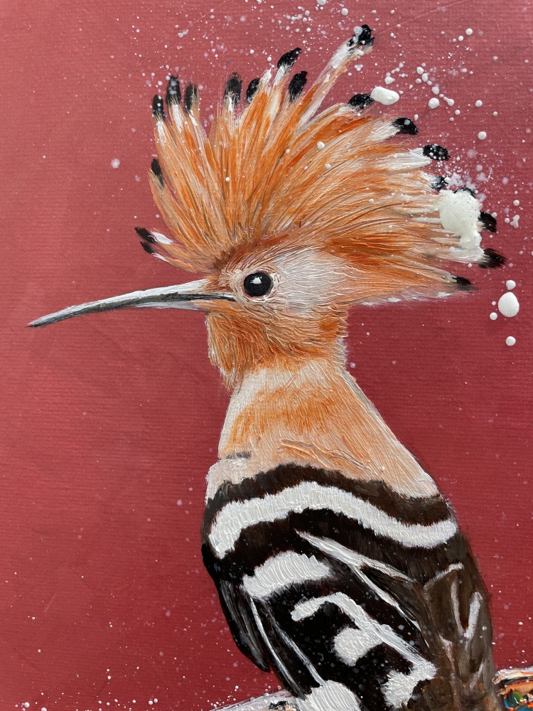 Hoopoe
