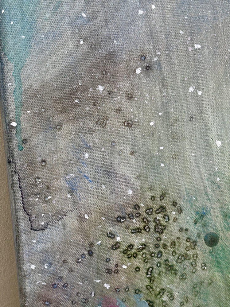 Moon Garden XXVI