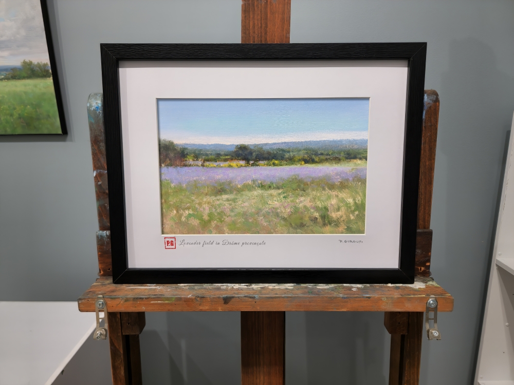 Lavender Fields and Broom