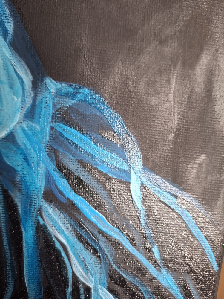 Jellyfish
