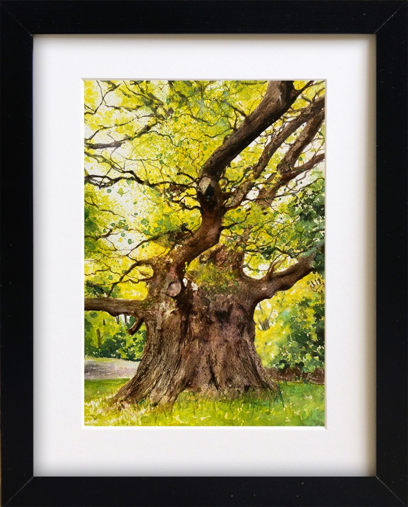 The Majesty Oak (framed)