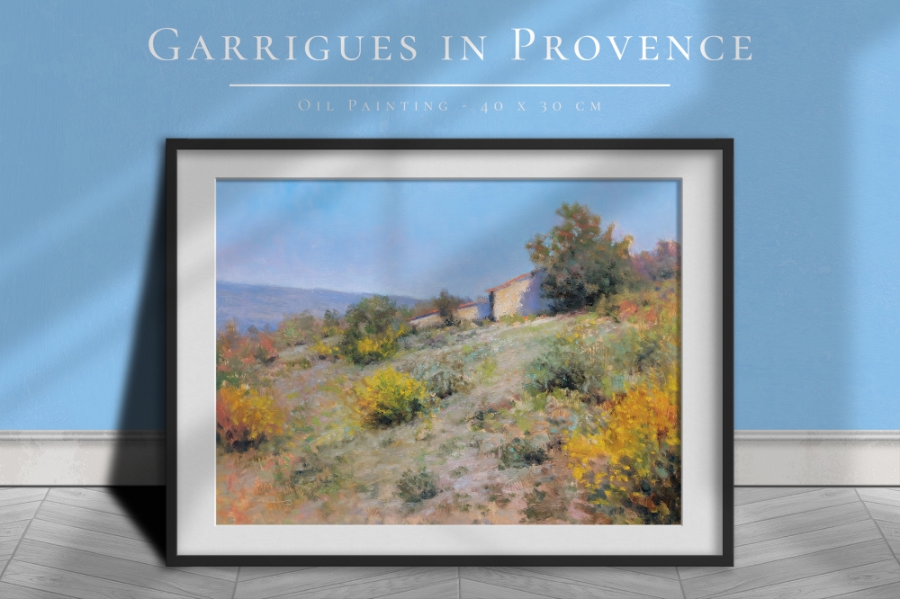 Garrigues in Provence
