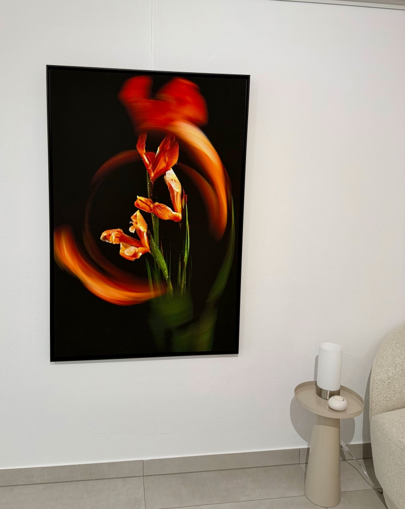 Orange Iris Prisma