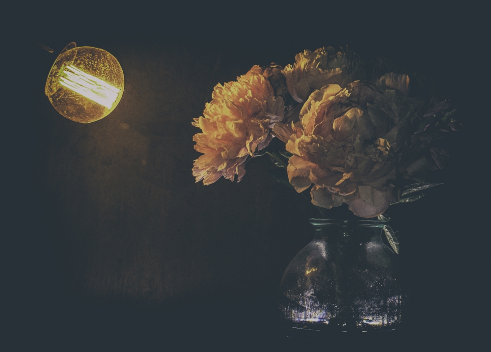 Peony II