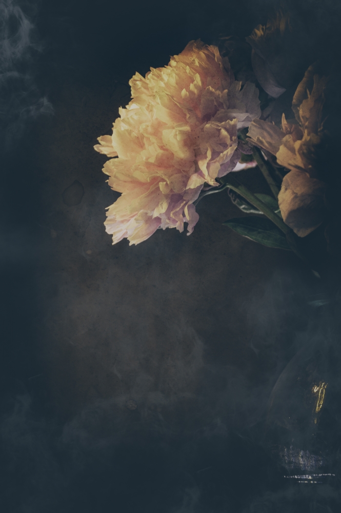 Peony I