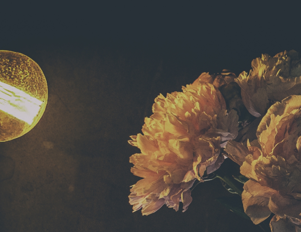 Peony II
