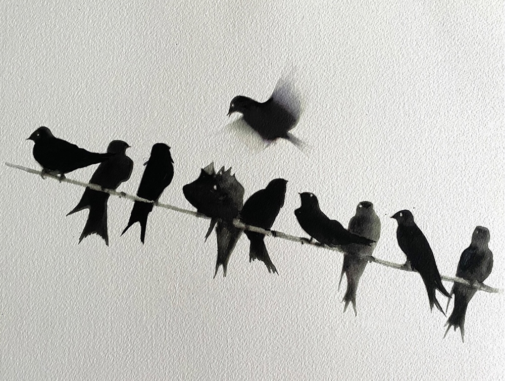 Swallows on a line (framed)