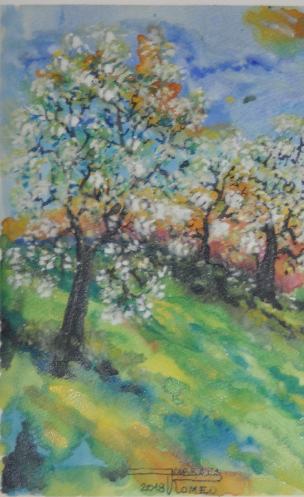 The spring 1, 11x15 inch, water colors on cold press paper, SKU 4030