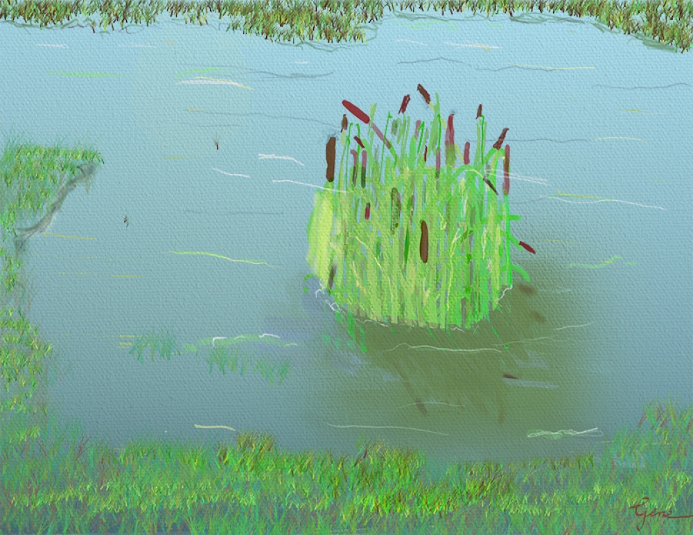 Cattails in Lake