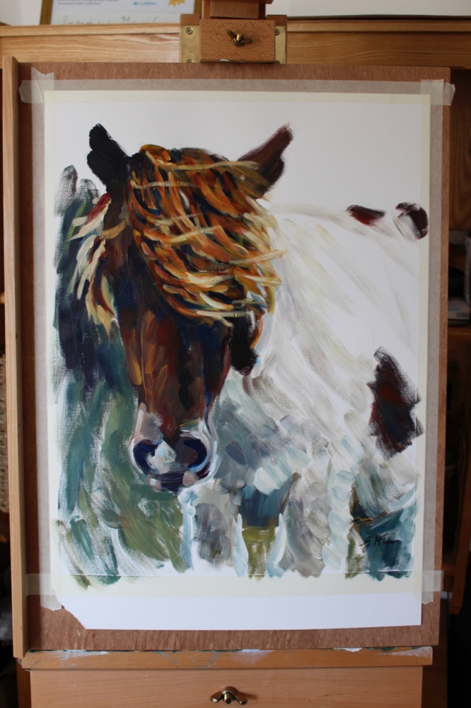 Pony
