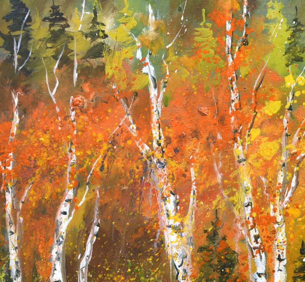Aspen trees in autumn