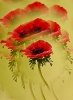 Crown anemone 'Prisma'