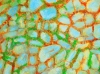 Abstraction of the old stones