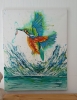 Flight of the Fisher