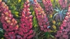 Flowers 2